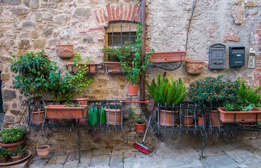 House and garden in Montemerano, Tuscany