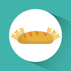 Bread wheat ears bakery icon. Circle design. Flat and Colorfull illustration. Vector graphic