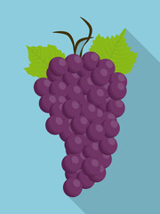grapes purple fruit organic food icon.  Flat and Colorfull illustration. Vector graphic