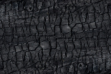 Details on the surface of charcoal.