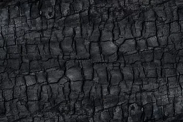 Fotobehang Details on the surface of charcoal. © noppharat