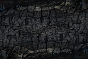 Details on the surface of charcoal.
