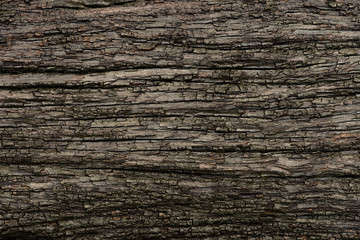 old black wood texture
