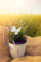 Lavender in a vintage old vase bucket with butterfly on the cutted tree wood, sun shine light