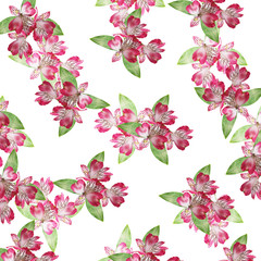 Beautiful floral background with pink alstroemeria 