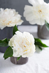 White peonies in gray handmade cups