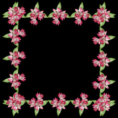 Fototapeta premium Beautiful floral background with pink alstroemeria 