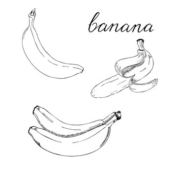Monochrome banana set with hand lettering drawn by ink. Hand drawn vector illustration.