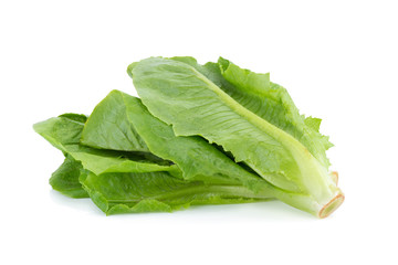 Cos Lettuce Isolated on White Background