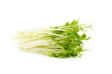 Snow Pea Sprouts on White Background