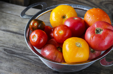 Various of tomatoes freshly washed in colander