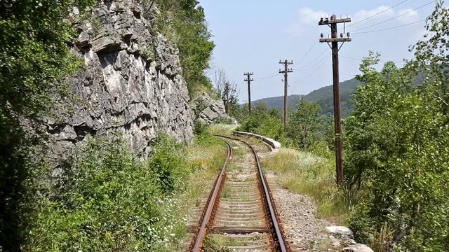 Imágenes de OravitaAnina descubre bancos de fotos, ilustraciones