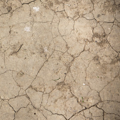 Fototapeta premium Let's save the earth. Crack soil on dry season, Global worming e