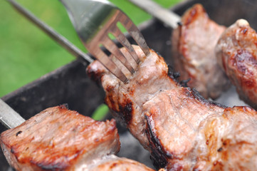 Barbecue Beef Meat Kebabs And Fork, Macro