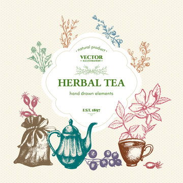 Herbal tea vintage template hand drawn ink vector