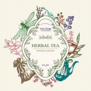Herbal tea vector card design hand drawn vector illustration