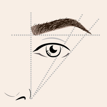 How to paint the eyebrows. Vector trendy makeup brows scheme.