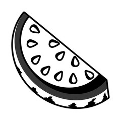 Delicious and fresh watermelon fruit, vector illustration.