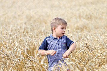 Small very handsome , cute, clever, well- mannered blond boy walks in the field and is looking for something 