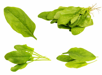 Fresh spinach isolated on white background. Set of different for © vit_kitamin