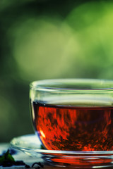 Cup of black tea on the open window on green blurred nature back
