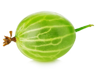 Fresh green gooseberry close-up isolated on a white background.