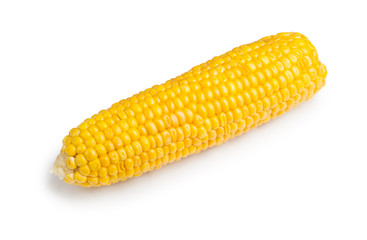 Corn cob