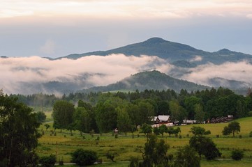 Obraz premium Landscape in the mist