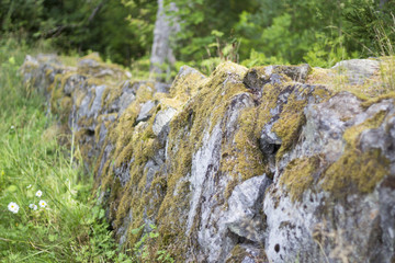 Mossy stone wall