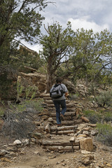 Naklejka premium Hiker on a trail at Hovenweep National Monument, Cortez, Colorado