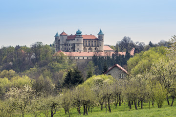 Fototapeta na wymiar Nowy Wisnicz castle near Cracow in Poland