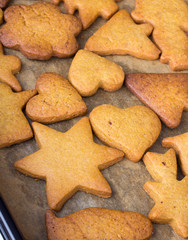  Christmas gingerbread cookies on  baking paper