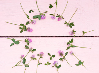 Bright clovers on a pink wood background with space for text