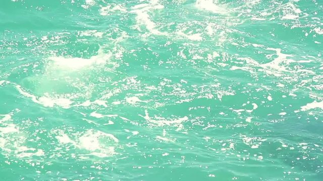 a shot of dolphins swimming around