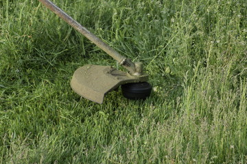 Mowing green grass using a fishing line trimmer