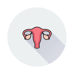 Female Reproductive System vector icon