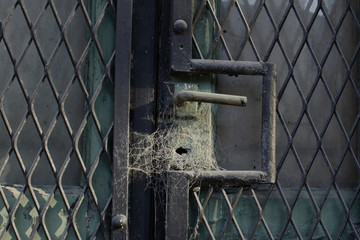 puerta cerrada de lugar abandonado con picaporte cerradura rodeados de  tela de araña