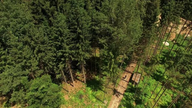 Camera flying over deforestrated forest