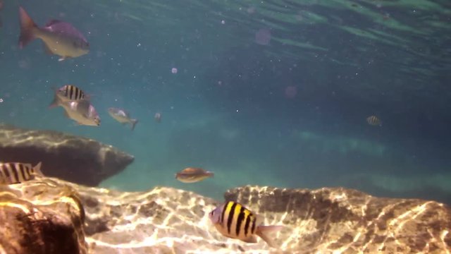 snorkeling in marine park mexico caribbean coast