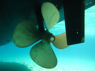 Blades of a motor speed boat rotor, front side © mergegr