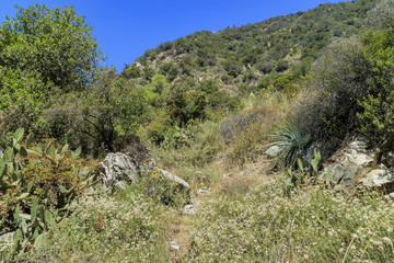 Fototapeta na wymiar Hiking in Fish Canyon Falls Trail