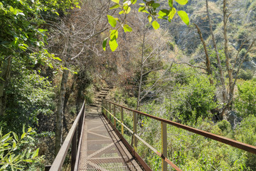 Hiking in Fish Canyon Falls Trail
