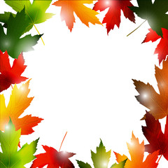 Clip-art frame from fallen leaves isolated