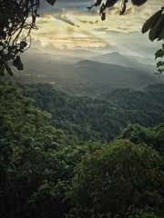Comasagua forest in El Salvador