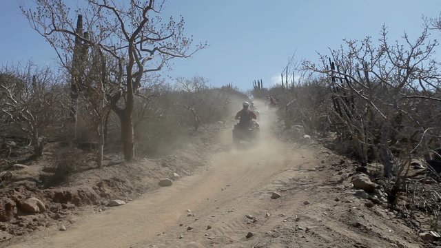 ATVS going along desert roads and tracks