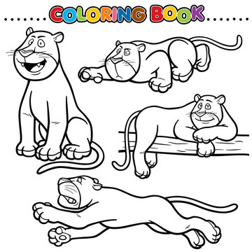 Cartoon Coloring Book - Panther