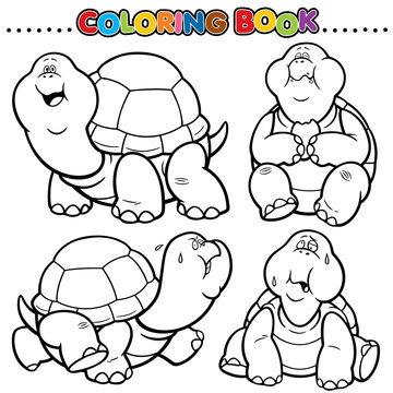 Cartoon Coloring Book - Turtle
