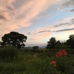 夏の夕焼け