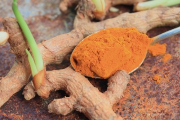 Turmeric powder with sprout