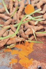 Turmeric powder with sprout
